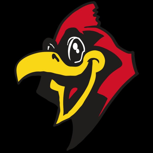 AR CARDINAL 36 RC Thumbnail