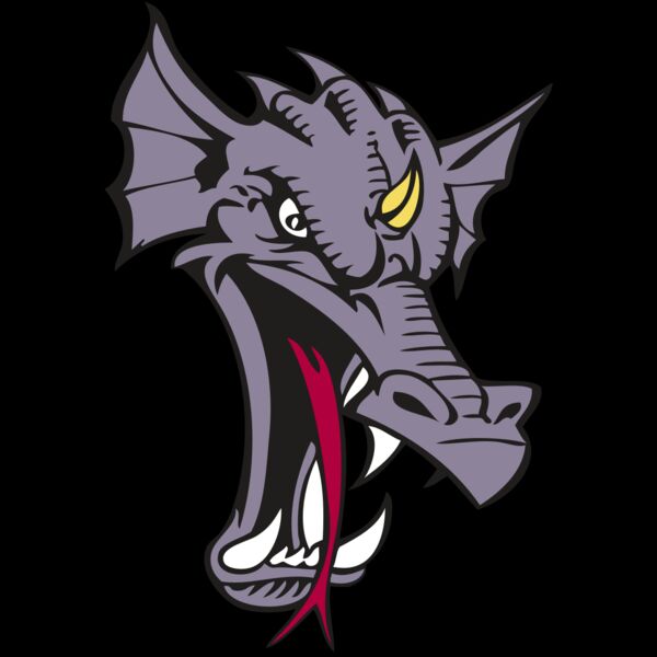 BAW DRAGON 05 RC Thumbnail