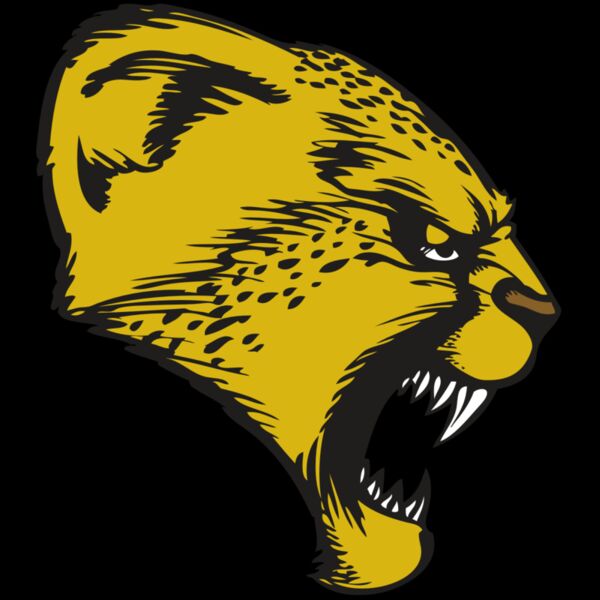 BAW CHEETAH 13 RC Thumbnail