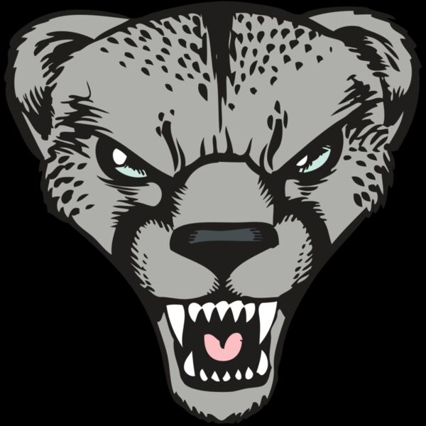 BAW CHEETAH 15 RC Thumbnail