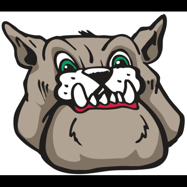 AR BDOG 27 RC Thumbnail