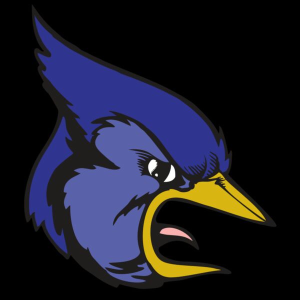 BAW BLUEJAY 04 RC Thumbnail