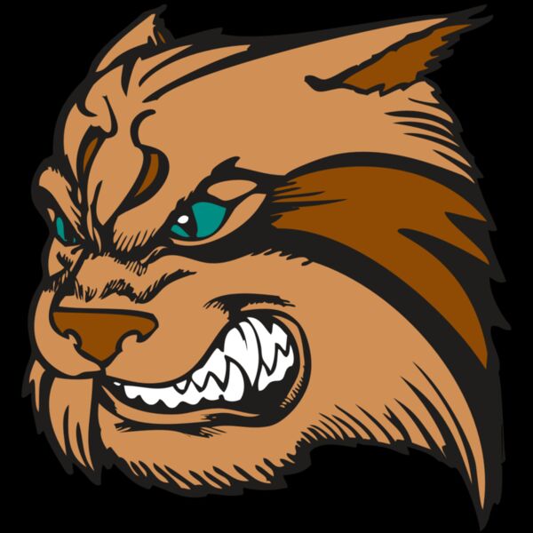 BAW WILDCAT 05 RC Thumbnail